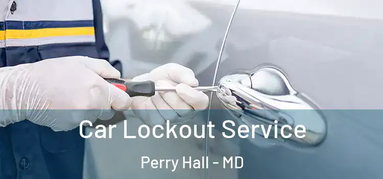  Car Lockout Service Perry Hall - MD