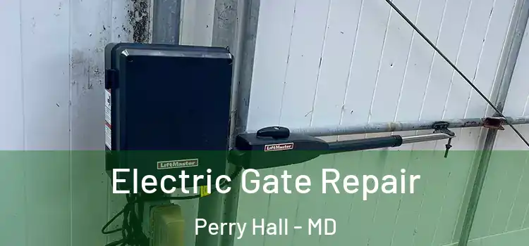 Electric Gate Repair Perry Hall - MD