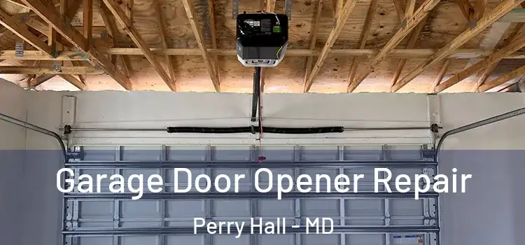  Garage Door Opener Repair Perry Hall - MD