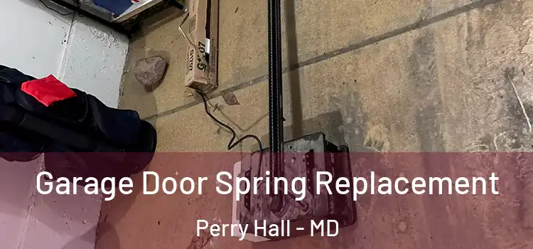  Garage Door Spring Replacement Perry Hall - MD