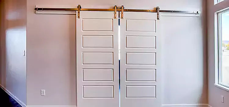 Glass Barn Door with Installation Hardware Kit Perry Hall