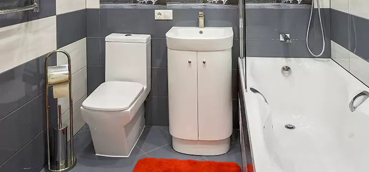 Hansgrohe Shaving Mirror Perry Hall