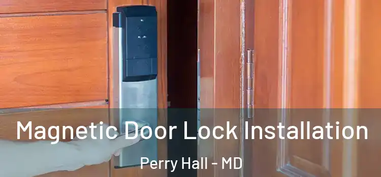  Magnetic Door Lock Installation Perry Hall - MD
