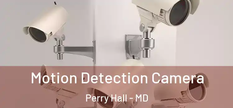  Motion Detection Camera Perry Hall - MD